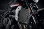 Griglia Radiatore Evotech per Triumph Trident 2021+